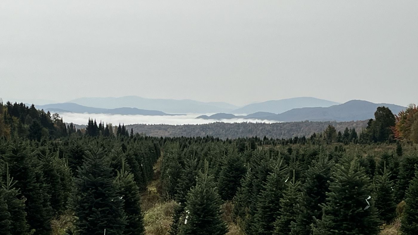 A layer of clouds settled over the mountains beyond the Plantations BL Christmas tree fields
