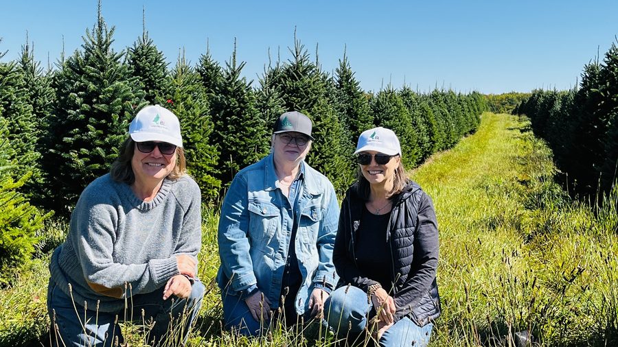 Three members of the Plantations BL team smiling in the rows of Christmas trees