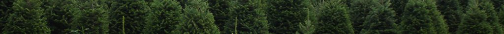 banner3_v1