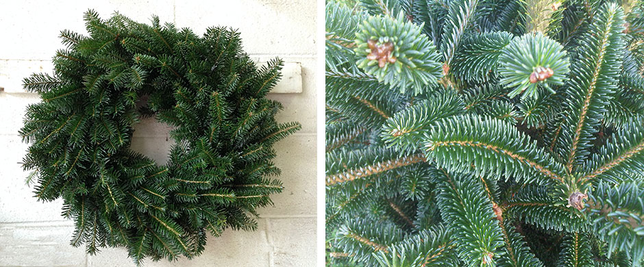 Christmas Greenery Wreath